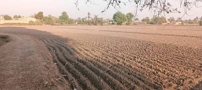 agriculture land
