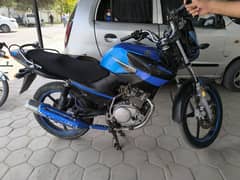 Ybr