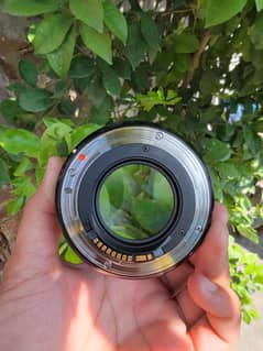 Canon Sigma 35mm F 1.4 Art