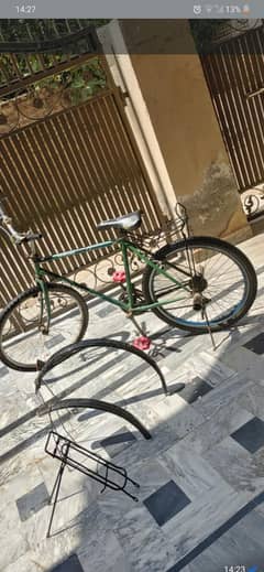 Phoenix brand cycle wiith gears