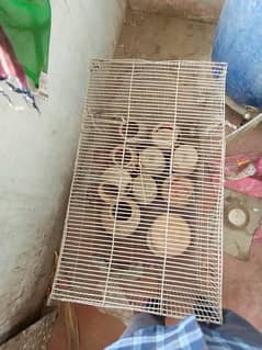 Bird cage