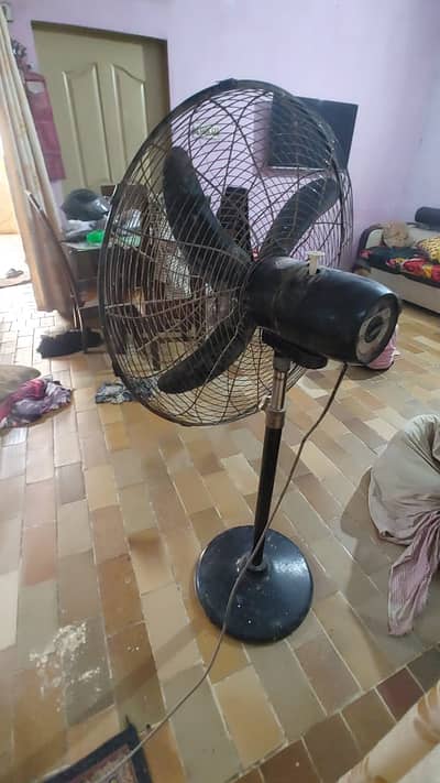United Pedestal fan Urgent sale.