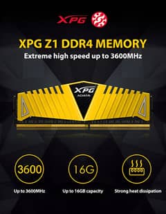 XPG Z1 Gold 16GB DDR4 RAM – 3200MHz | Gaming Performance | Excellent C