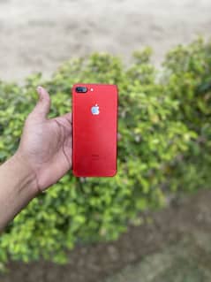 7plus.