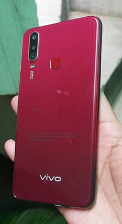 Vivo