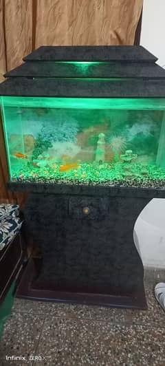 Fish