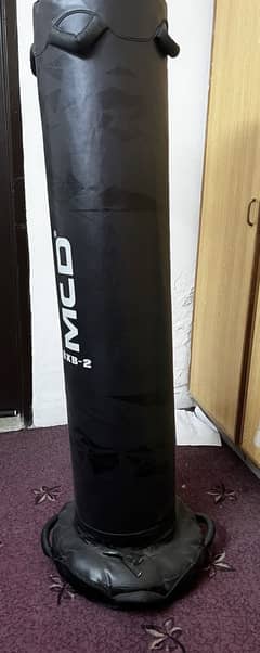 Free standing kick boxing bag