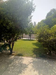 Double Gated/Unit Ideal House for SALE