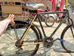 chaizao ki grinte 100%