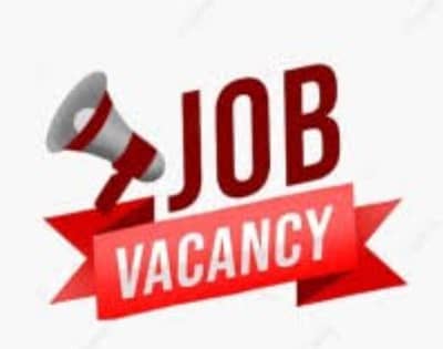 experience salesman and helper