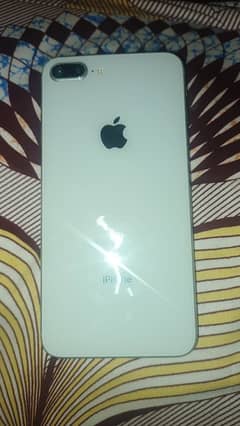 i phone 8 plus non pta 256 GB back camera blur ha change ho ga