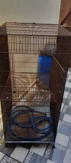 Birds keaj for sael