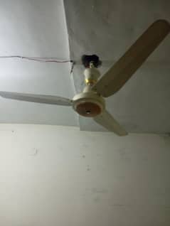 AC  DC fan for sale