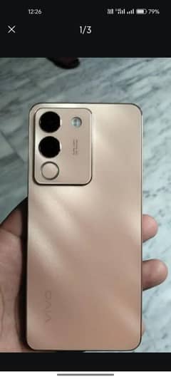 vivo