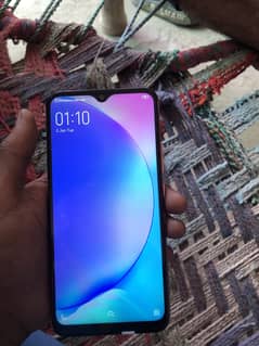 vivo