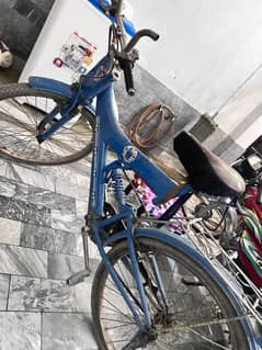 Cycle