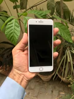iphone 7 plus PTA Approved