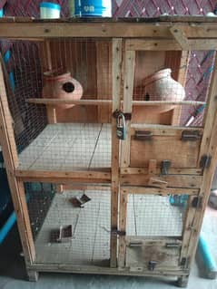 Bird pinjara for sale