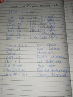 Neat Handwriting for Urdu and English Assignments