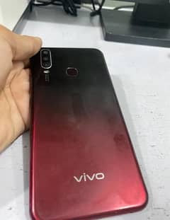 Vivo