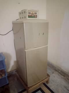 Haier company fridge