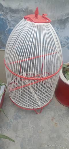 Hen Cages