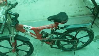 Hybrid bike