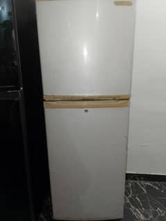 orient medium fridge