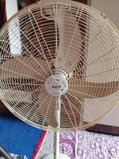 Rado fan