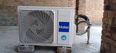 Haier