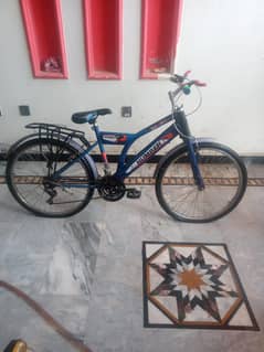 ALMOST NEW BICYCLE