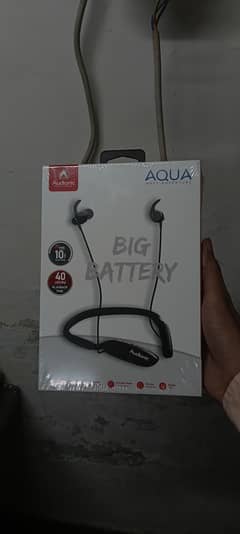 Audionic
