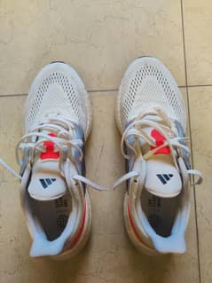 Adidas Pure boost 22 for Sale