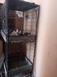 cages