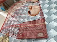 parrot Cage