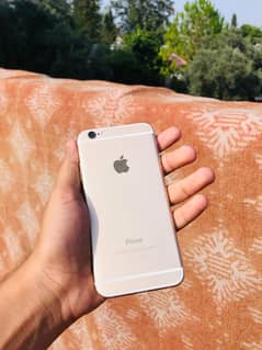 iPhone 6