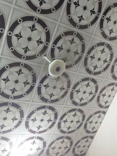 ceiling