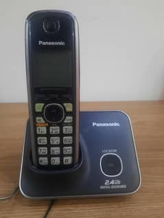 Panasonic