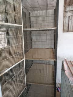Cages Bird 4
