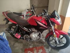 YBR 125 ( 2023 )