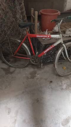 Adress sialkot Punjab Pakistan