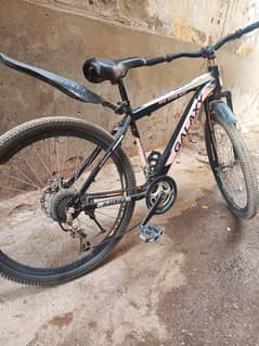 cycle