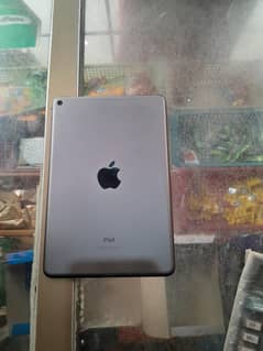 i pad mini 5