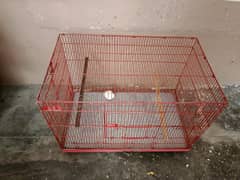 bird cage