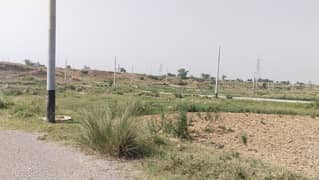 Sector