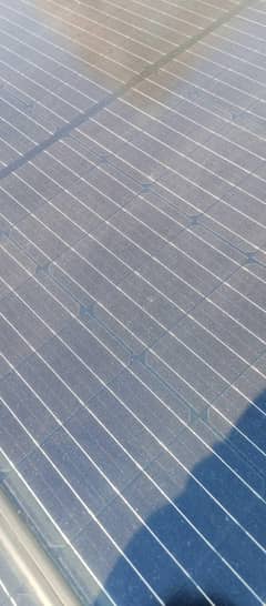 longi 375 watt