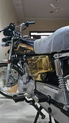 Golden special Edition