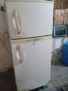 Waves Refrigerator / Fridge