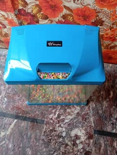 fish aquarium