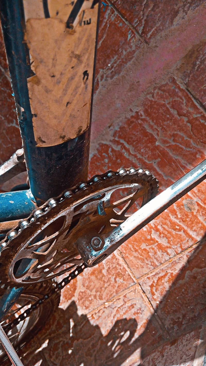 Morgan cycle condition 10_9 very good cycle 24 size 0